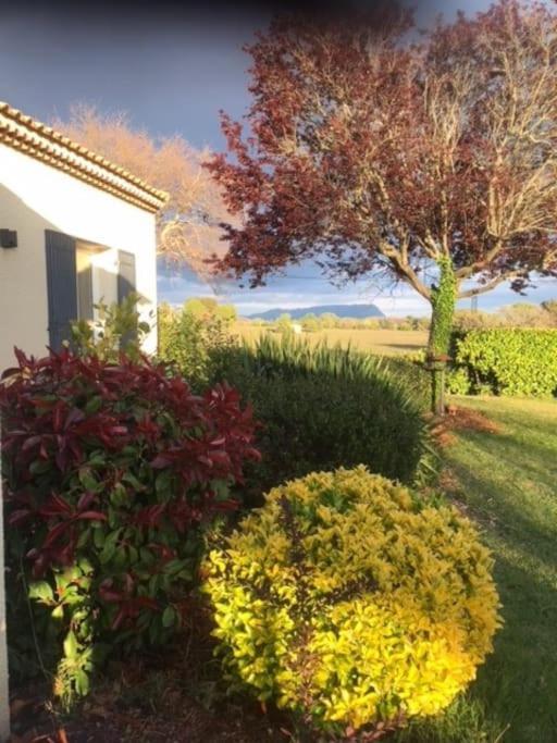 Sejour En Provence Maison Avec Vue Sur La Sainte Victoire Et Piscine Pres D'Aix En Provence Aix-en-Provence Buitenkant foto